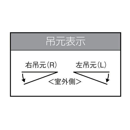 クリエラガラスドアPG 半外付型 1620 W1692×H2017mm 店舗ドア 一枚 
