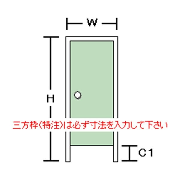 オーダーサイズ】 玄関ドア 勝手口ドア ロンカラーフラッシュドア 三方