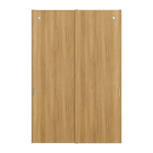 室内引戸 引違い戸2枚建 上吊方式 ライン枠 ラフィス RGX アクリル系パネル 1624/1824 リクシル LIXIL Raffis 建具 交換 リフォーム DIY