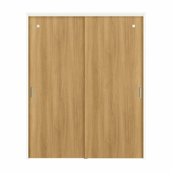 室内引戸 引違い戸2枚建 上吊方式 ノンケーシング枠 ラフィス RGX アクリル系パネル 1620/1820 リクシル LIXIL Raffis 建具 交換 リフォーム DIY