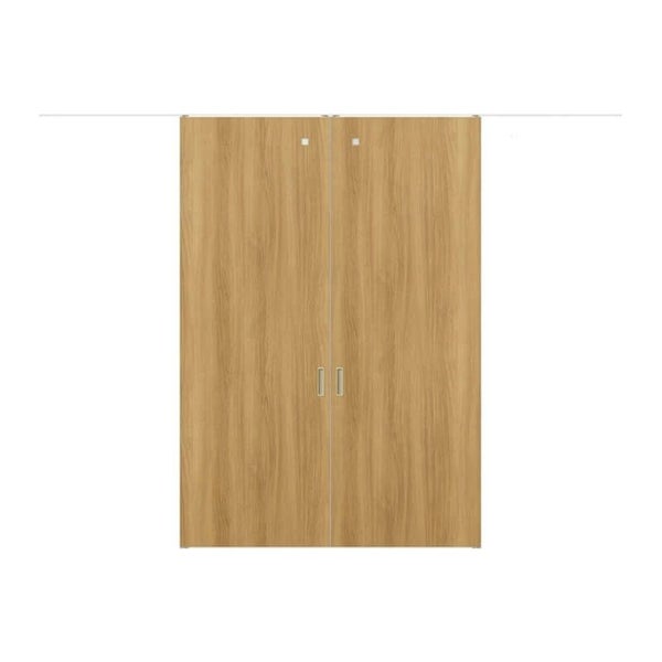 室内引戸 引分け戸 天井埋込方式 ライン枠 ラフィス RGX アクリル系パネル 3224 リクシル LIXIL Raffis 建具 交換 リフォーム DIY