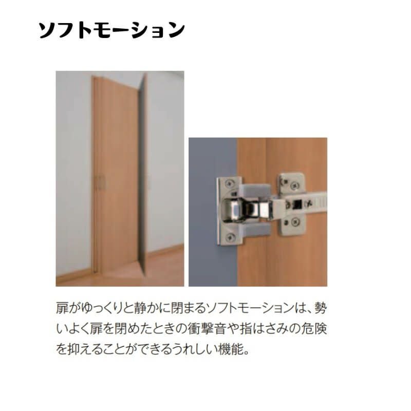 クローゼットドア 片開き戸 0420 ラシッサD ノースフォレスト 開き戸