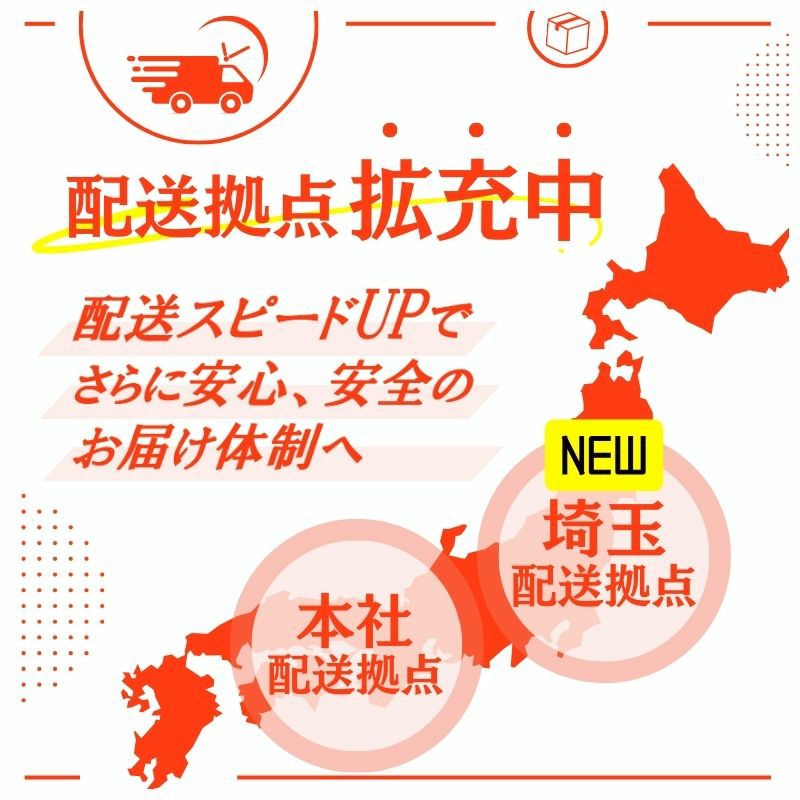 LIXIL 室内引戸 上吊方式 片引戸 標準タイプ ラシッサS ガラスタイプ
