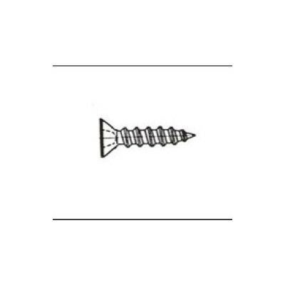 LIXIL/TOSTEM 窓サッシ用部品 その他 ねじ：皿木ねじ M3.8×38[R1Y84] [リクシル][トステム]